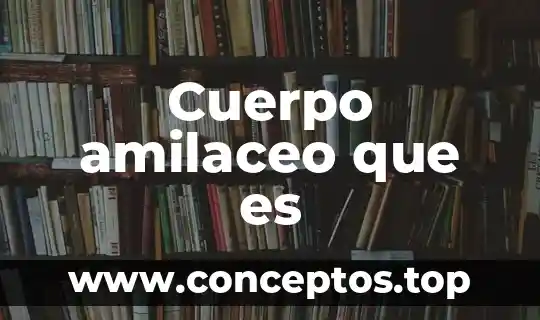 Que es el cuerpo celular 5 Cuerpo amilaceo que es