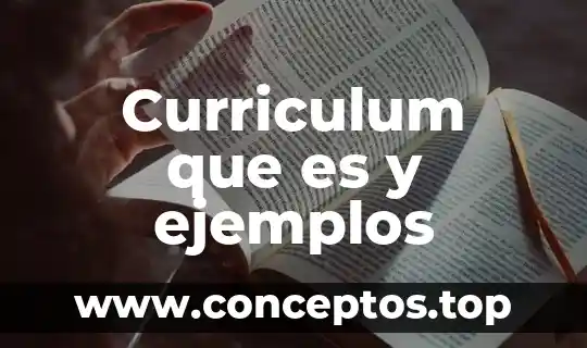 Curriculum que es y ejemplos