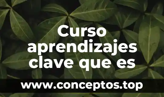 Curso aprendizajes clave que es