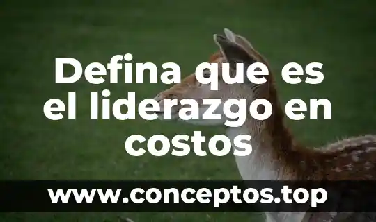 Defina que es el liderazgo en costos