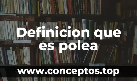 Que es la definicion del problema y el análisis 3 Definicion que es polea