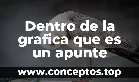 Qué es la gráfica de pictograma 8 Dentro de la grafica que es un apunte