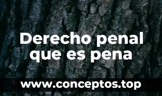 Derecho penal que es pena