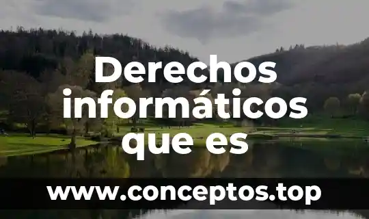 El ejercicio de los derechos individuales que es 8 Derechos informáticos que es