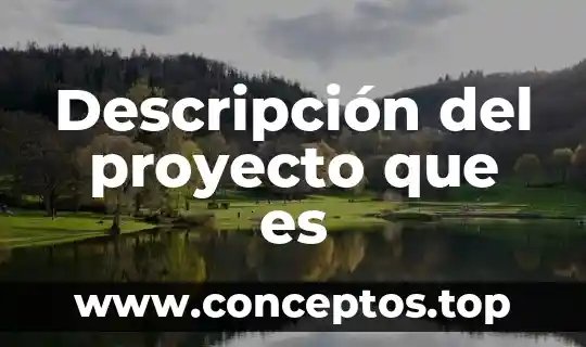 Descripción del proyecto que es