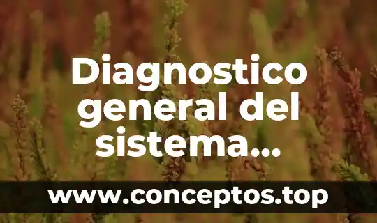 Diagnostico general del sistema nacional de salud que es