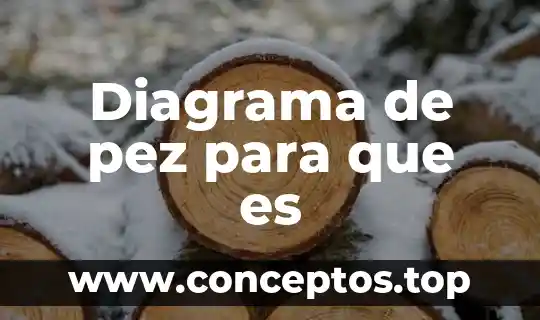 Diagrama de pez para que es