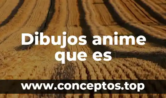 Dibujos anime que es