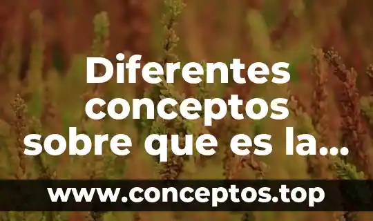 Diferentes conceptos sobre que es la competencia