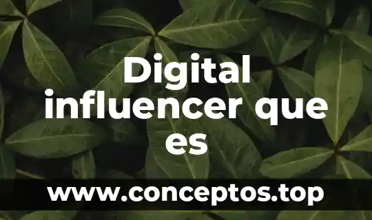 Digital influencer que es