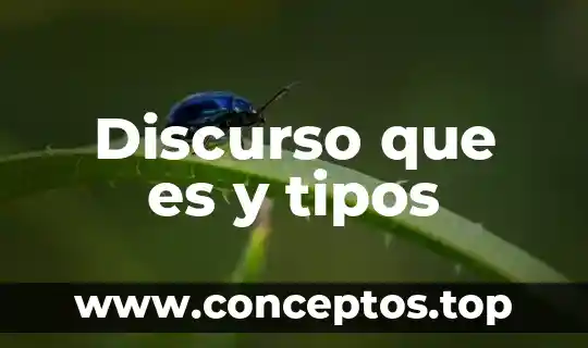 Discurso que es y tipos