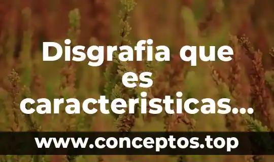 Que es un vendedor y sus caracteristicas 4 Disgrafia que es caracteristicas y tratamiento