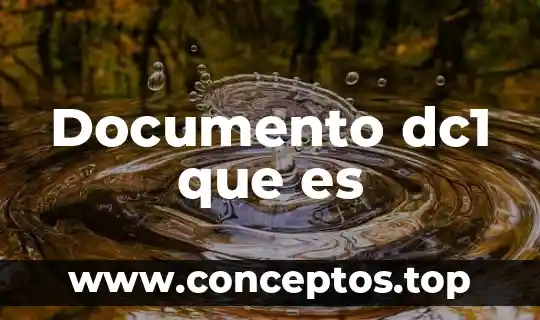 Documento dc1 que es