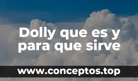 Dolly que es y para que sirve
