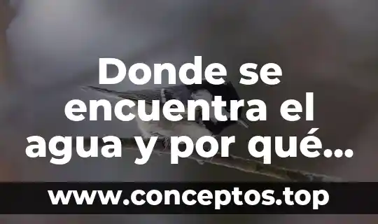 Donde se encuentra el agua y por qué es importante