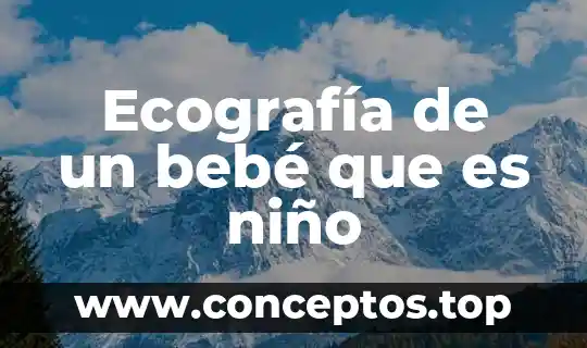 Ecografía de un bebé que es niño