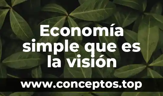 Que es tiempo simple musical 3 Economía simple que es la visión