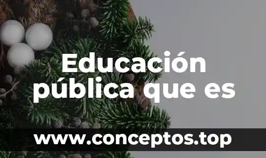 Educación pública que es