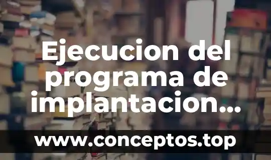 Ejecucion del programa de implantacion que es