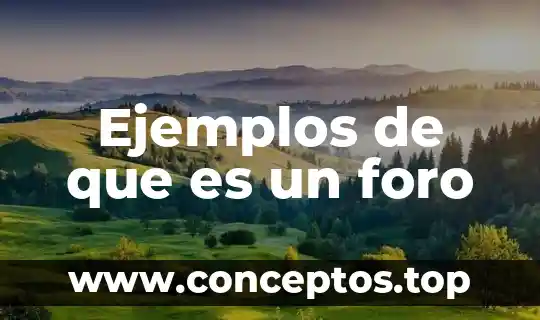 Ejemplos de que es un foro