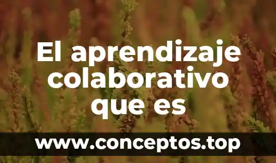 Qué es el trabajo colaborativo concepto 4 El aprendizaje colaborativo que es