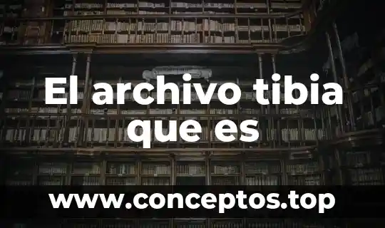 El archivo tibia que es