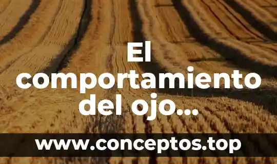 El comportamiento del ojo humano a que es similar