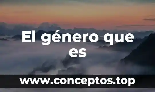 Que es el genero western 6 El género que es