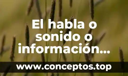 El habla o sonido o información que es el sonido