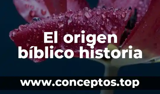 Significado que es un bosquejo bíblico 7 El origen bíblico historia