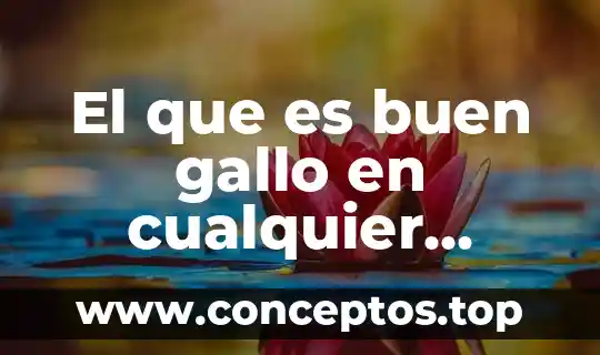 El que es buen gallo en cualquier gallinero canta significado