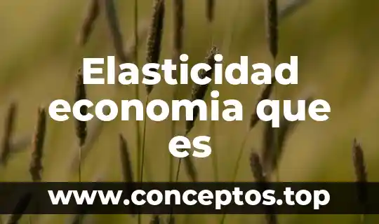 Que es elasticidad en economia con variantes 5 Elasticidad economia que es