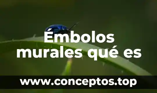 Que es web-dl latino 4 Émbolos murales qué es