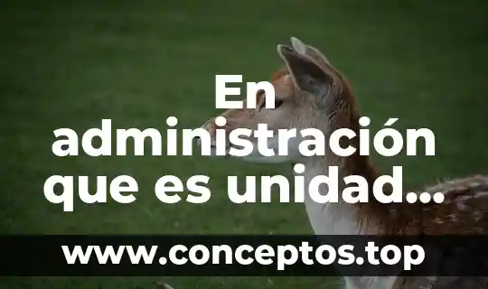 En administración que es unidad temporal