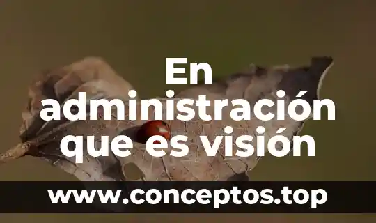 En administración que es visión