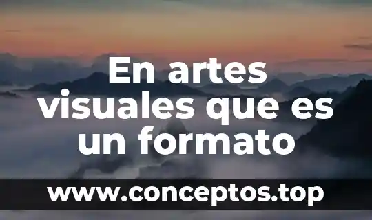 Que es un museo de artes visuales 4 En artes visuales que es un formato