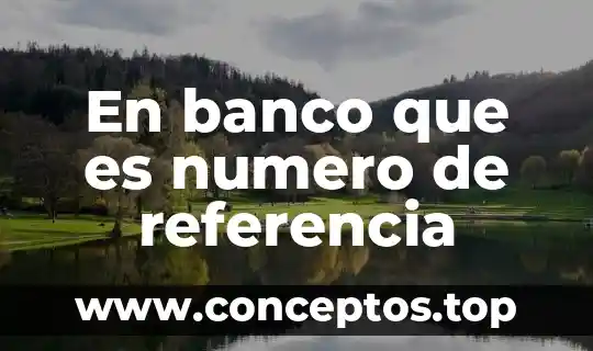Qué es el número faltante 8 En banco que es numero de referencia