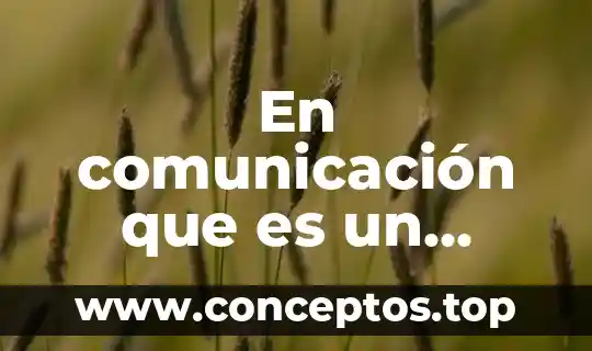 Que es ser licenciado en comunicacion humana 3 En comunicación que es un presupuesto y un inferido