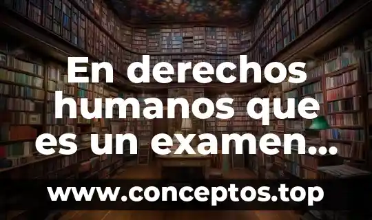 En derechos humanos que es un examen periodico universal