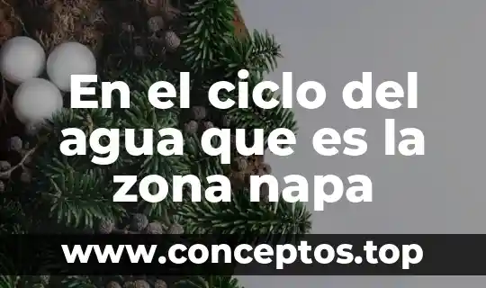 En el ciclo del agua que es la zona napa