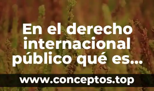 Que es un ordenamiento internacional 8 En el derecho internacional público qué es la mediación