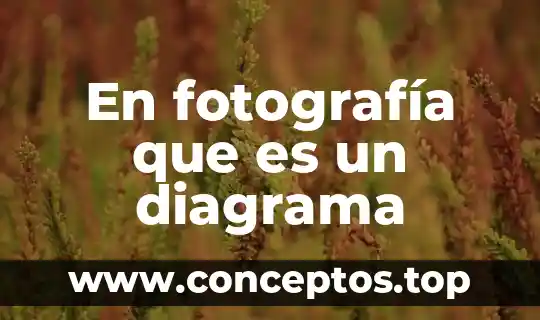 En fotografía que es un diagrama