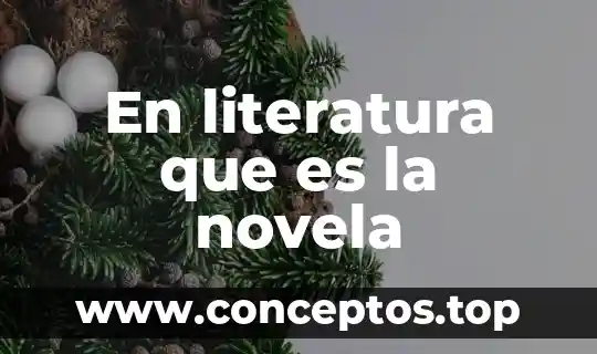 En literatura que es la novela