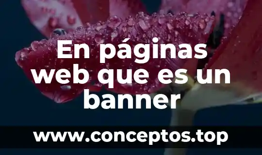 En páginas web que es un banner