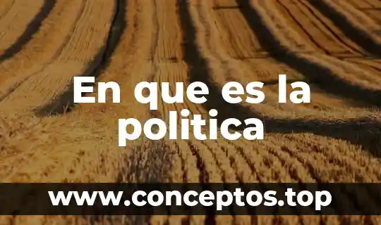 Que es una politica incosistente 3 En que es la politica