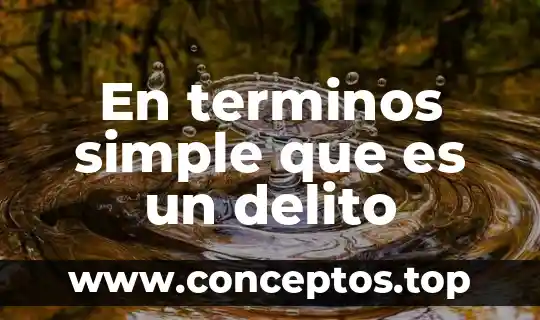 Economía simple que es la visión 3 En terminos simple que es un delito