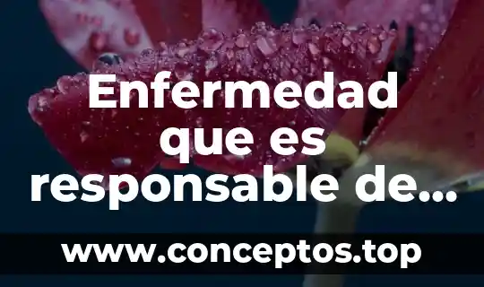 Enfermedad que es responsable de cambiar las palabras al escribir