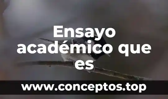 Ensayo académico que es