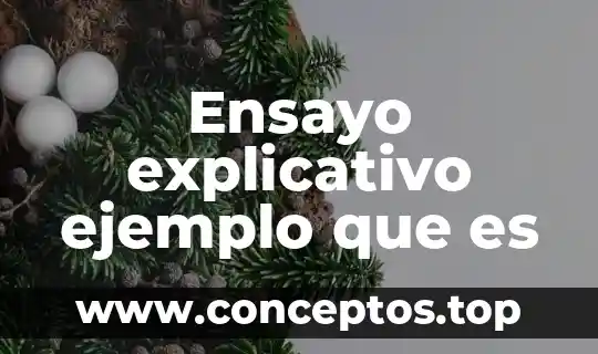 Ensayo explicativo ejemplo que es