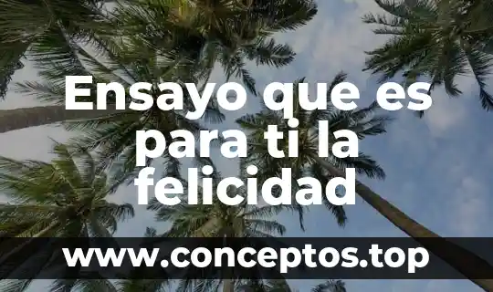 Ensayo que es para ti la felicidad